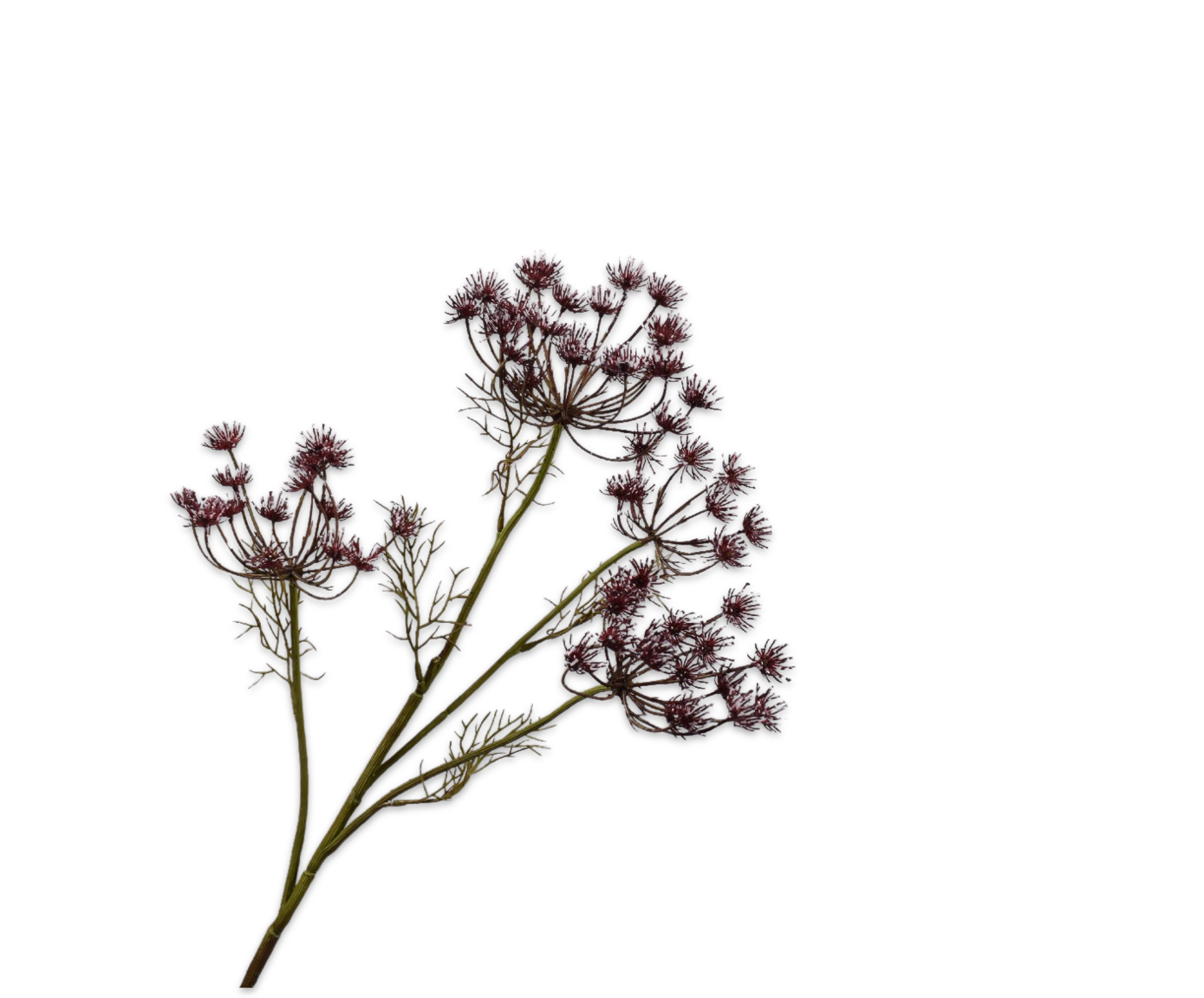 Dill branch - Purple - 82 cm