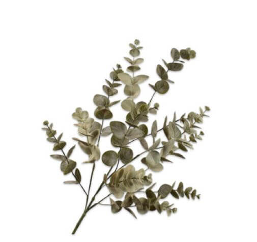 Eucalyptus branch Green 86 cm