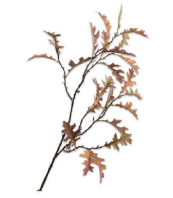 Oak leaf brown brown 110 cm