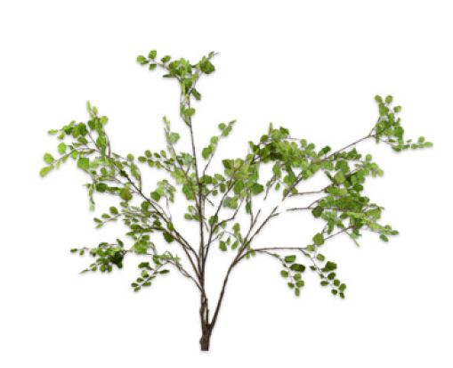 Sailing branch green 113 cm