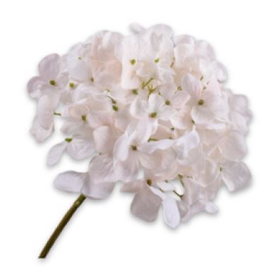 Hortensia Steel Creme 63cm
