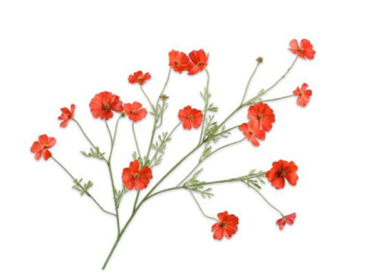 Cosmos branch Orange/Red 104cm