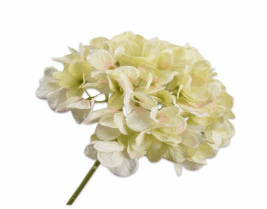 Hydrangea Stem - Cream/Green - 48cm
