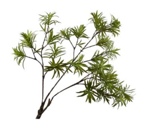 Leaf branch podocarpus green 89cm