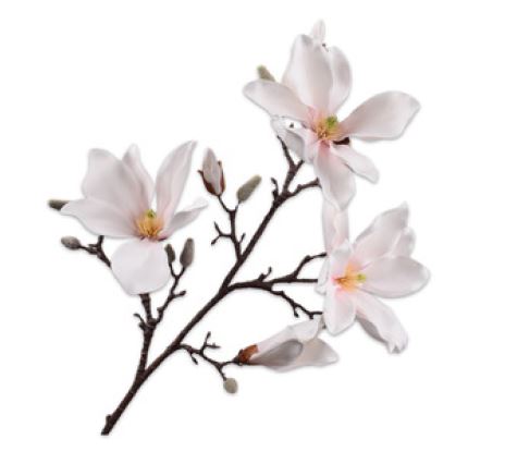 Magnolia Tak CR/Pink 101cm