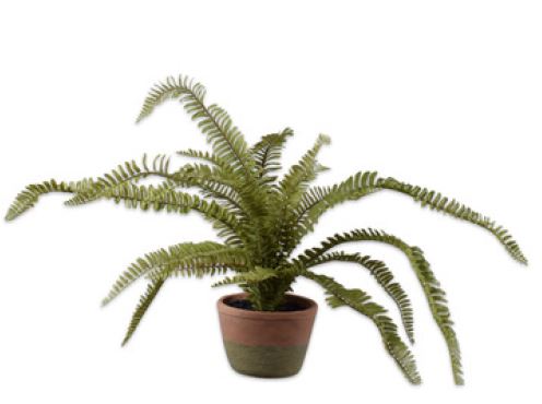 Voile comprenant un pot de 68 cm vert