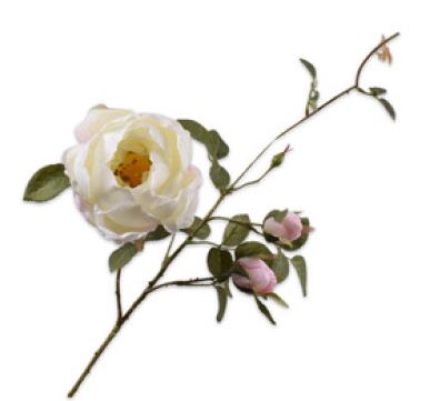 ROOS RAMA WHITE 80cm