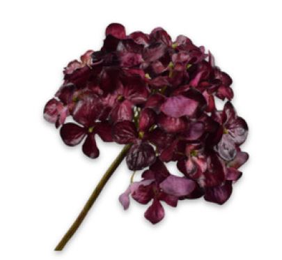 Hortensia Steel Bordeaux 63cm
