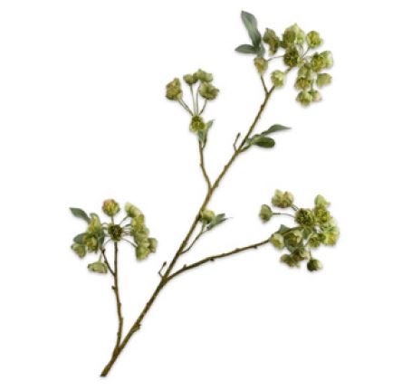 Helleborus branch green 100cm