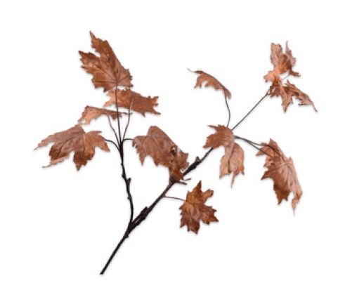 Leaf branch Brown 81cm