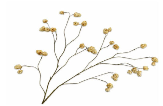 Hop Branch - Brown/LT - 109cm