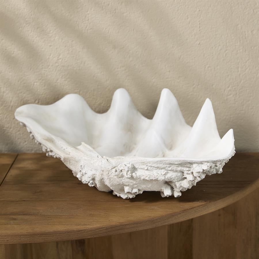 Shell Oceanis Decoration M
