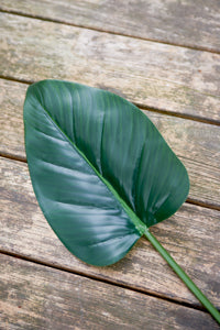 Banana Leaf maisonleonie